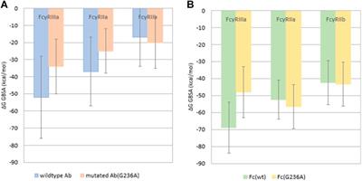 Molecular Dynamics Simulations Reveal Interactions of an IgG1 Antibody With Selected Fc Receptors